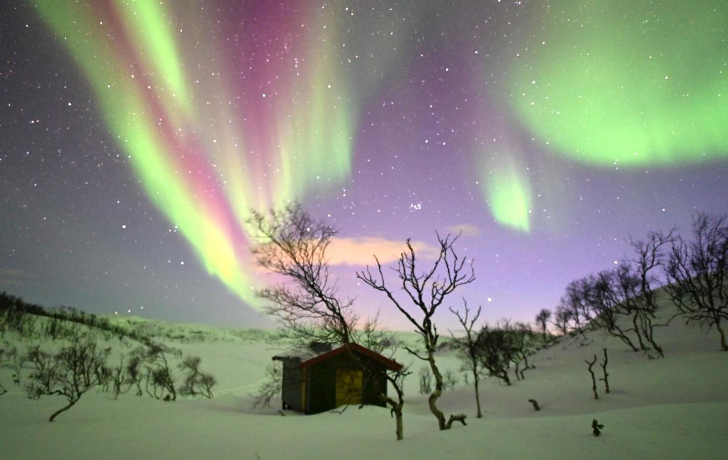Atte Arstider Lodge Neiden 外观 照片